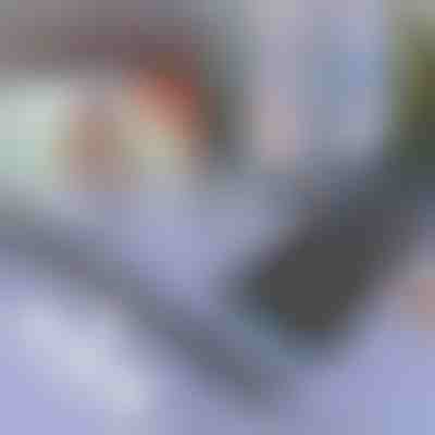 Parasolar pentru mașină și fereastră | SUNGUARD