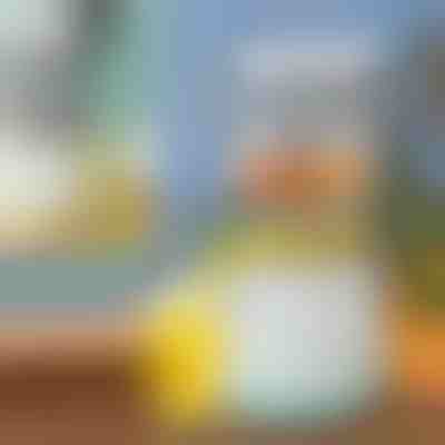 Storcător de fructe | VITAPRESS