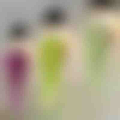 Plantă decorativă suspendată | IVYORA