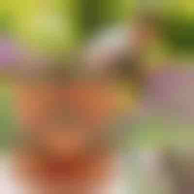 Ghivece de plante cu stivuire verticală | PLANTUP